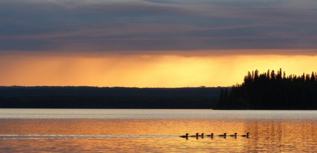 Quill Lakes Watershed Association and Freedom of Information