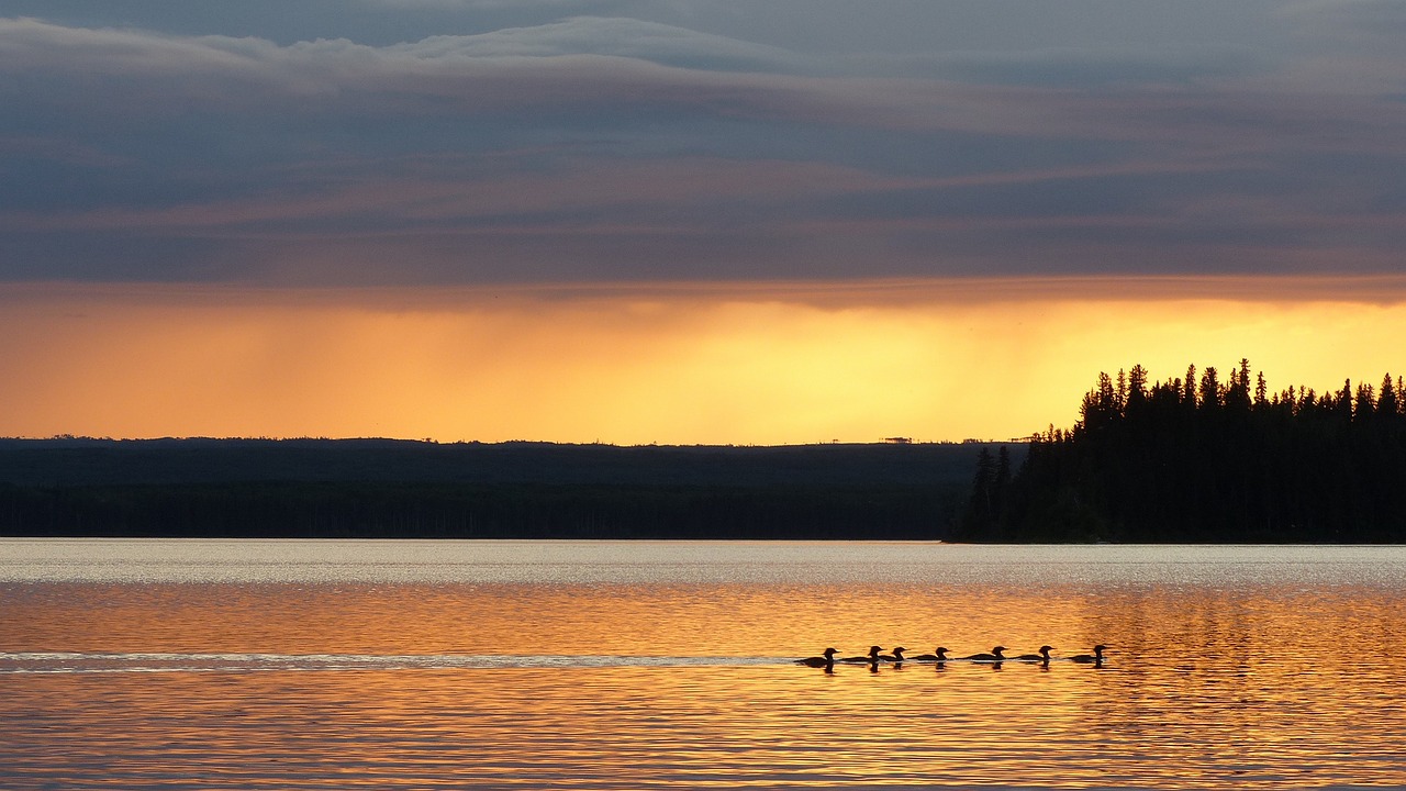 Quill Lakes Watershed Association and Freedom of Information