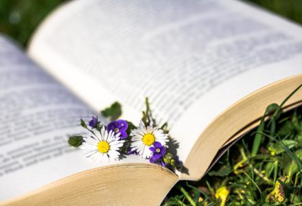 The Right to a Healthy Environment